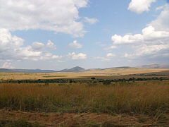 Landscape in Maasai Mara