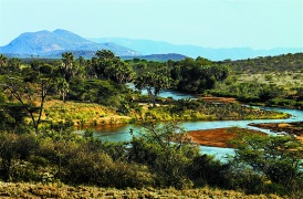 Ewaso Nyiro River in Shaba Game Reserve